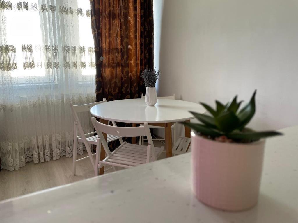 Apartament Ella تولتشيا المظهر الخارجي الصورة